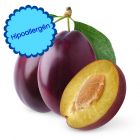 Purple Plum hipoallergén szilvás-gyümölcsös illat